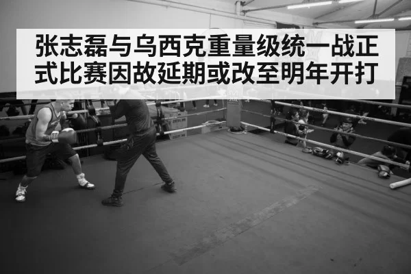 张志磊与乌西克重量级统一战正式比赛因故延期或改至明年开打