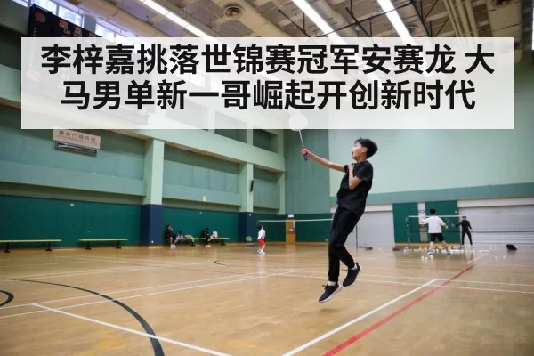 badminton court action